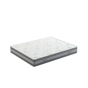 Bio rythmic 2 scaled 1