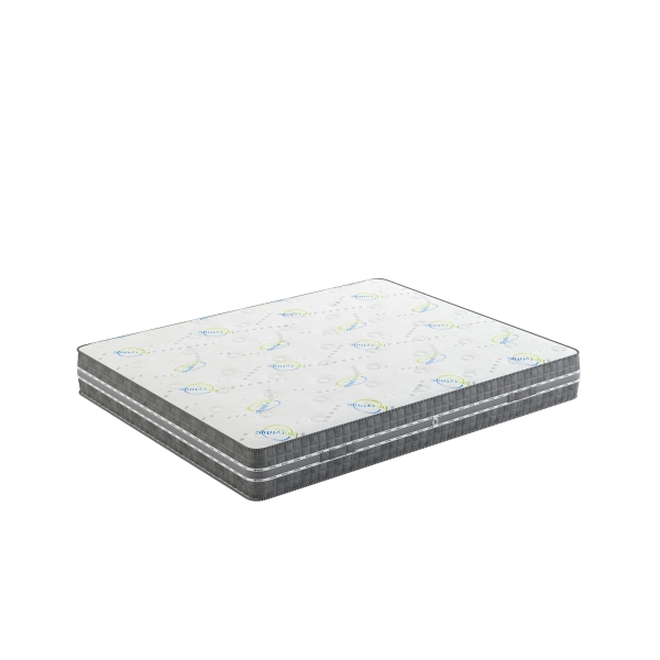 Bio rythmic 2 scaled 1